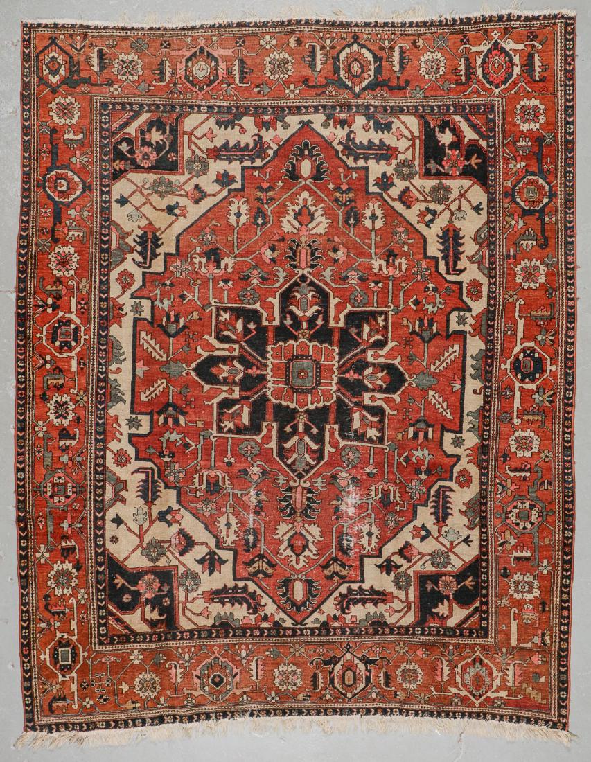Antique Serapi Rug, Persia: 9'5'' x 12'3'' (1 of 6)