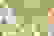item-69549837=4