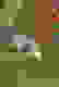 item-70745801=2
