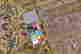 item-70745956=5
