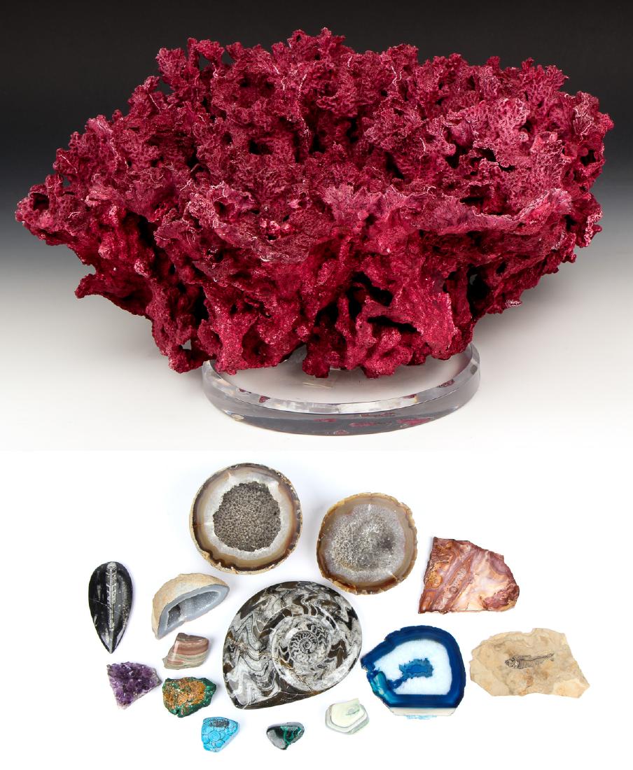Estate Collection of Minerals and Coral (1 of 7)