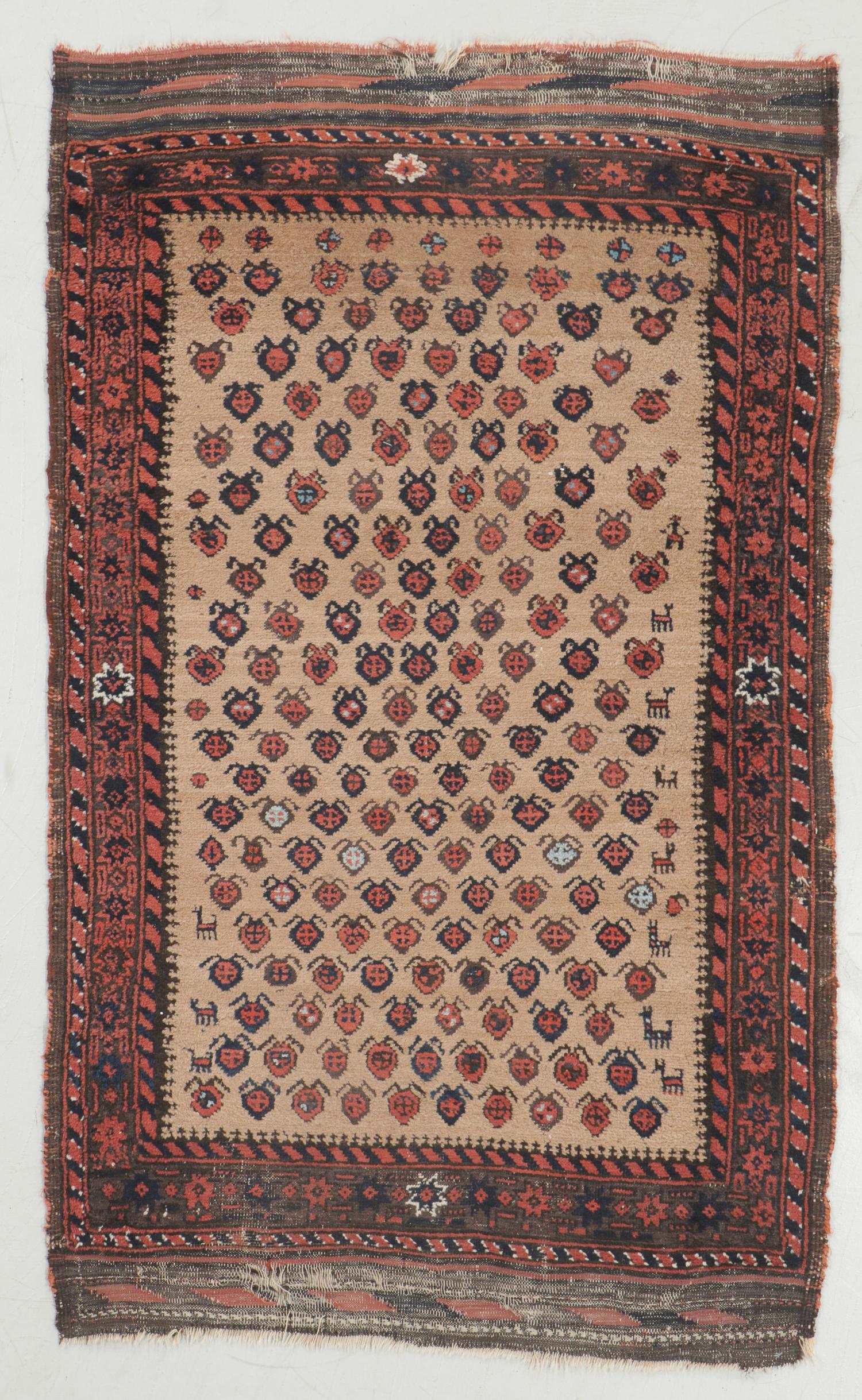 Antique Beluch Rug, Afghanistan: 3'3'' x 5'5'': Antique Beluch Rug, Afghanistan: 3'3'' x 5'5'' (99 x 165 cm). 5 lbs. Private Cambridge MA collection.