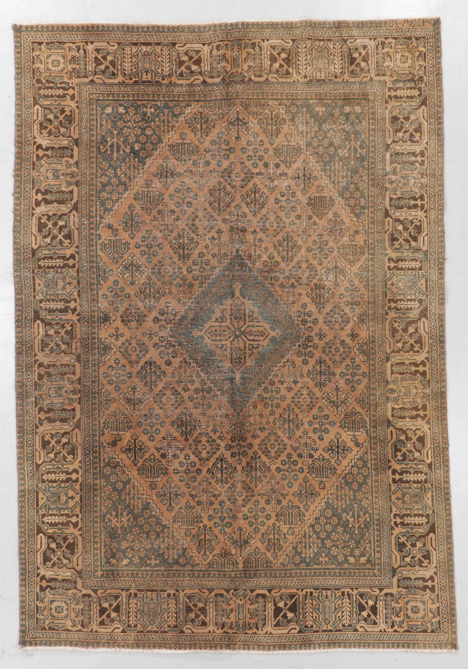Semi-Antique Joshagan Rug, Persia: 6'10'' x 9'11'' (1 of 6)