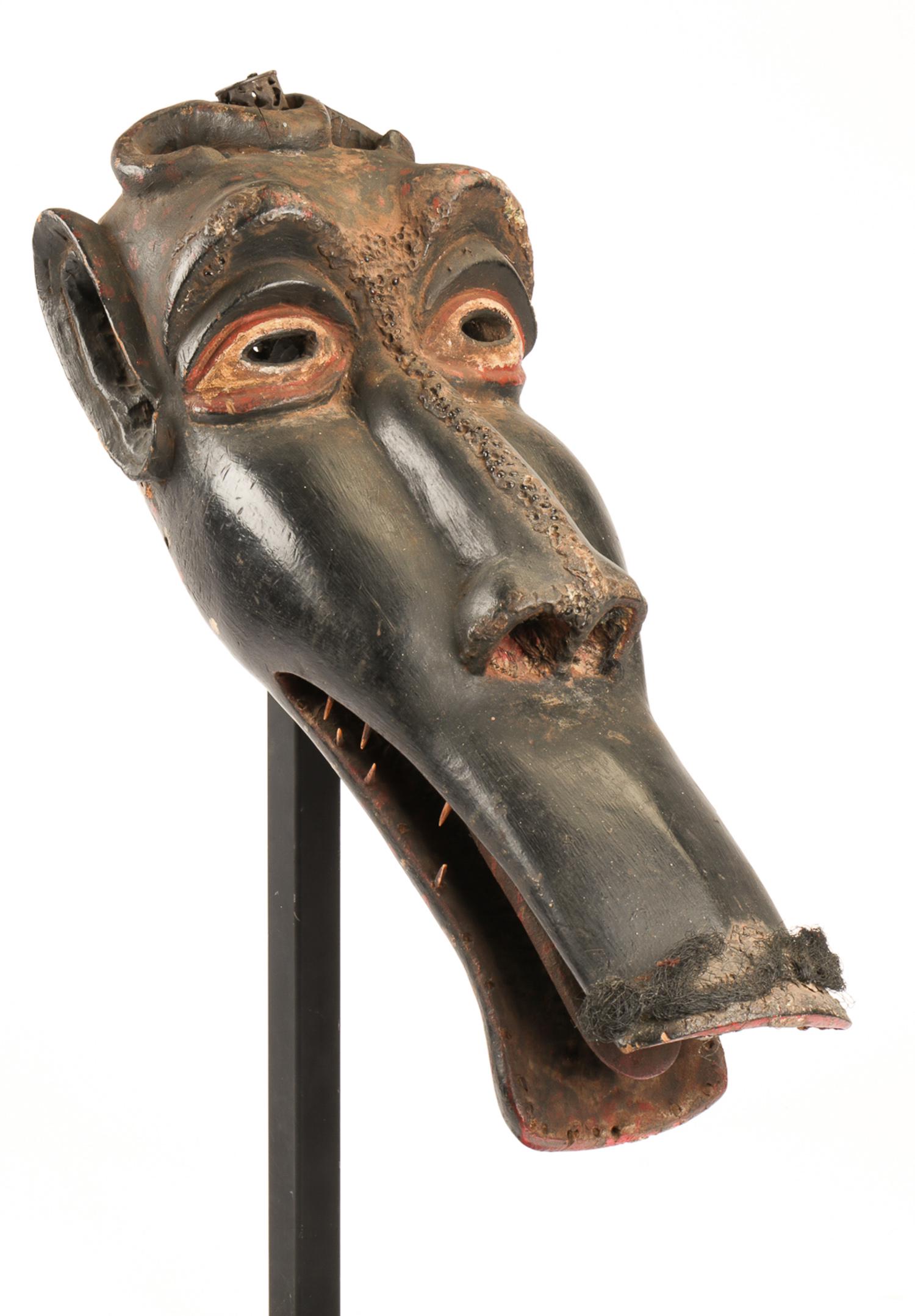 Large African Zoomorphic Mask Cameroon 24 X 12 X May 06 2020 large-african-zoomorphic-mask-cameroon-24-x-12-x-may-06-2020