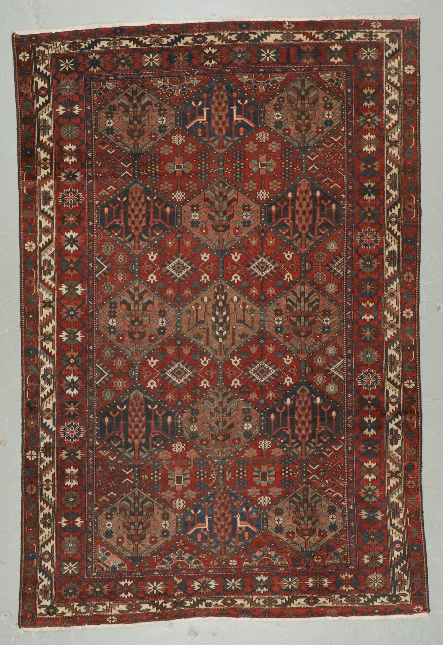 Baktiari Rug, Persia, Early/Mid 20th C., 7'0'' x 10'5'' (1 of 6)