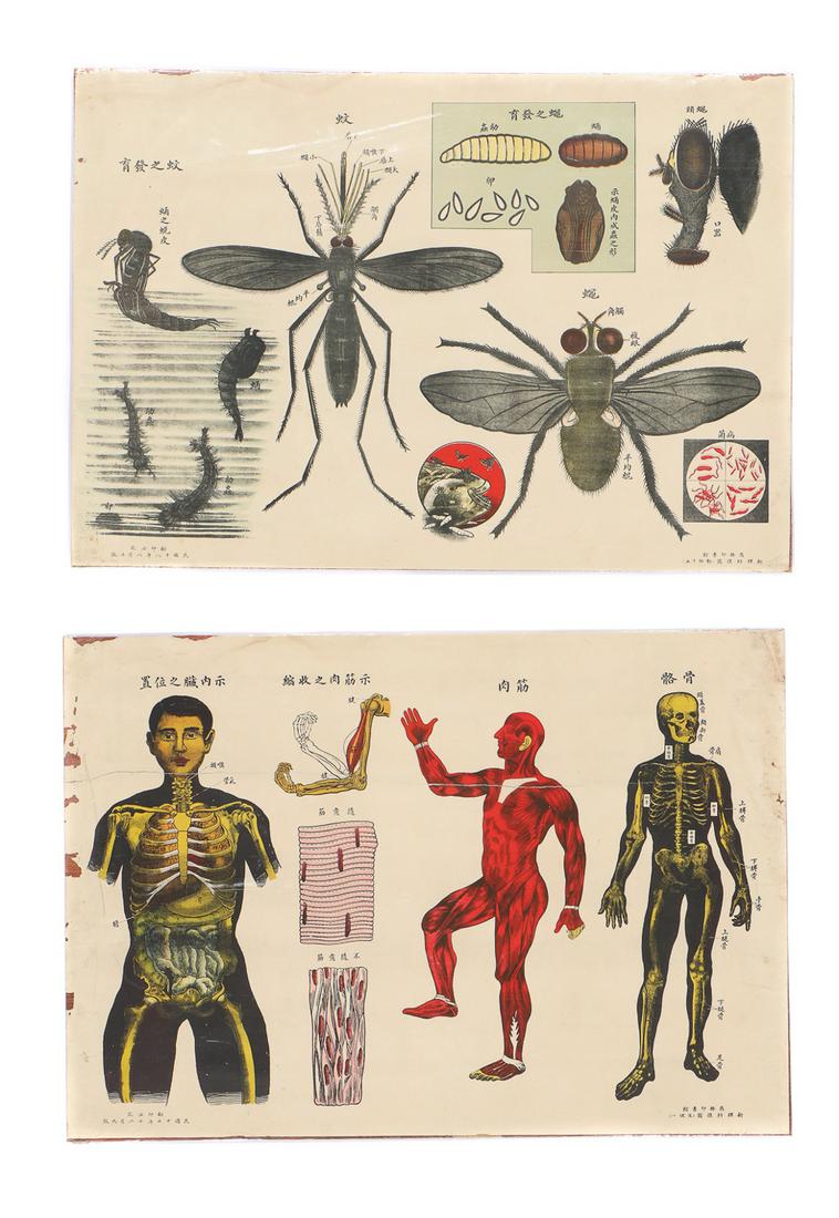 Two Vintage Chinese School Posters, c.1940s (1 of 9)