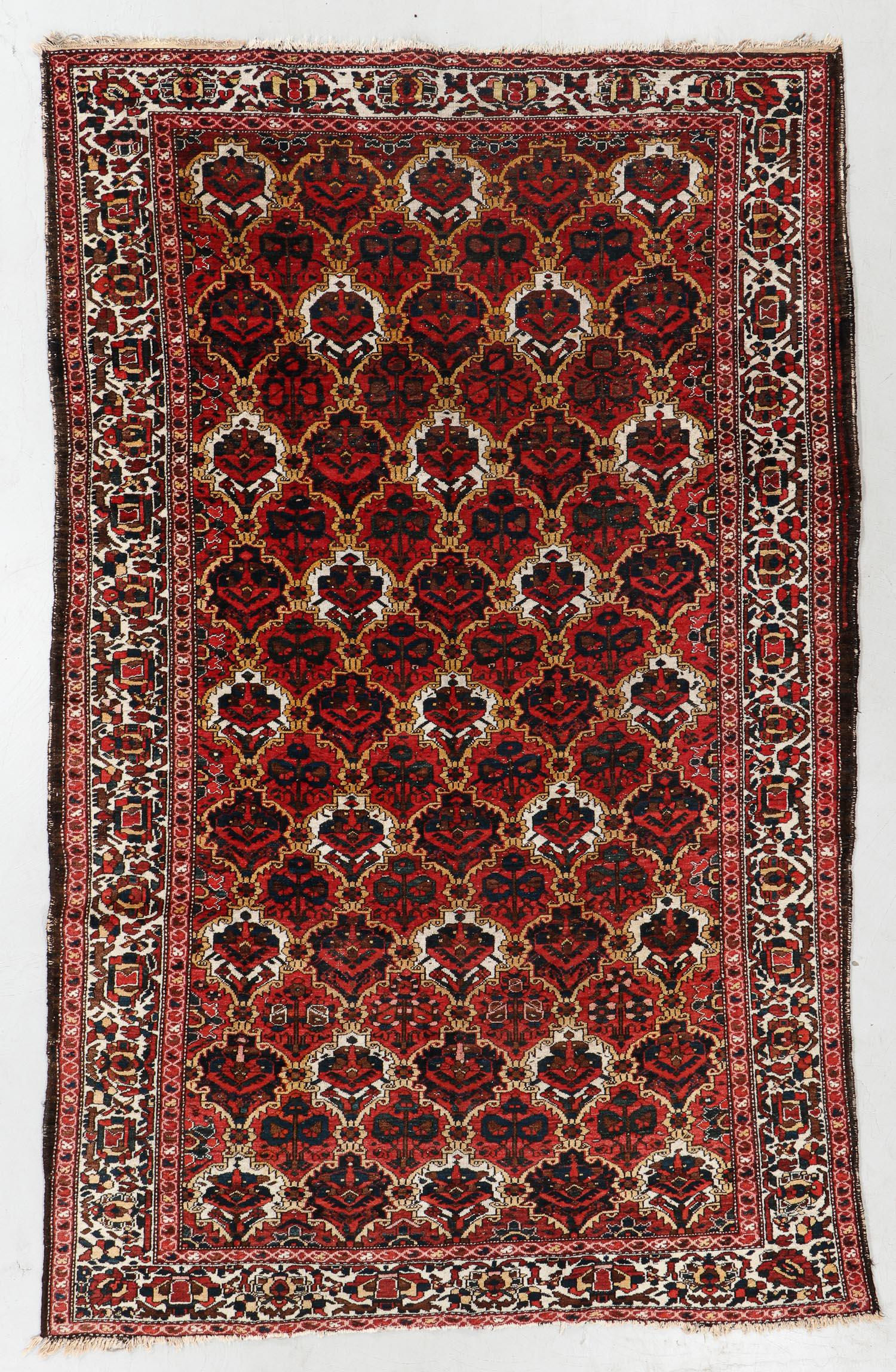 Baktiari Rug, Persia, Mid 20th C., 6'6'' x 10'6'' (1 of 5)