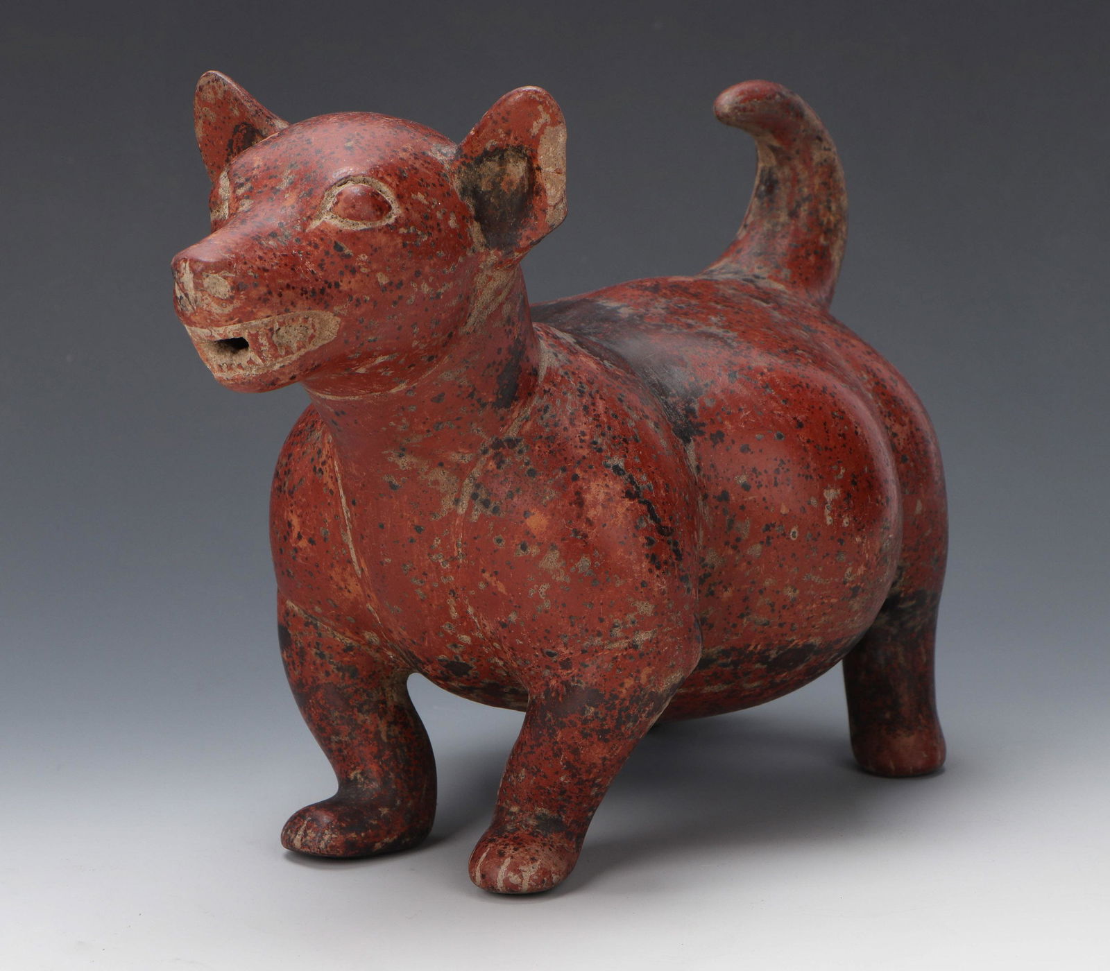 Fine and Rotund Colima Pottery Dog. 200 BCE - 200 CE (1 of 8)