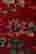 item-103991502=2