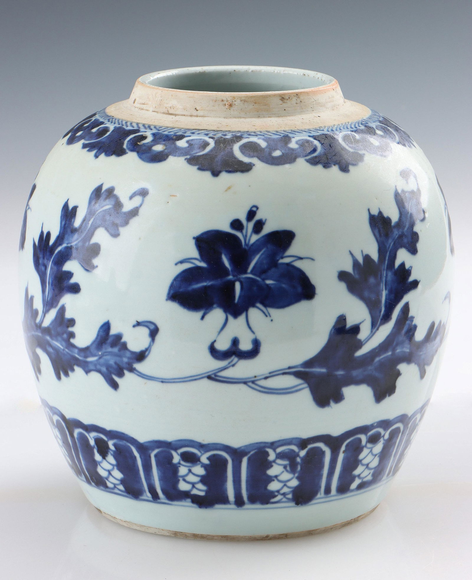 Chinese Porcelain Blue and White Jar (1 of 6)