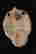 item-114610069=5