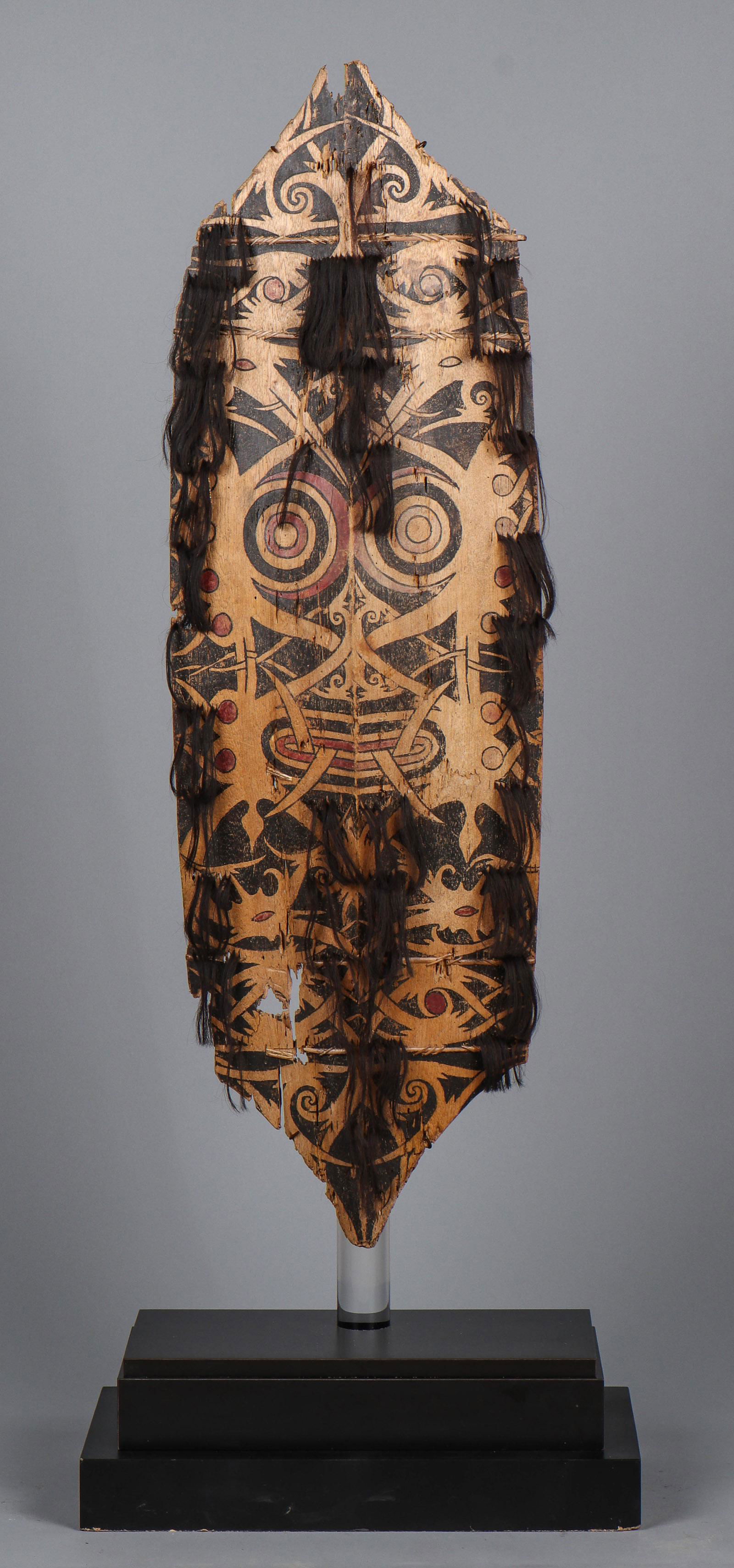 Kenyah/Kayan Dayak Warrior's Shield, Borneo (1 of 3)