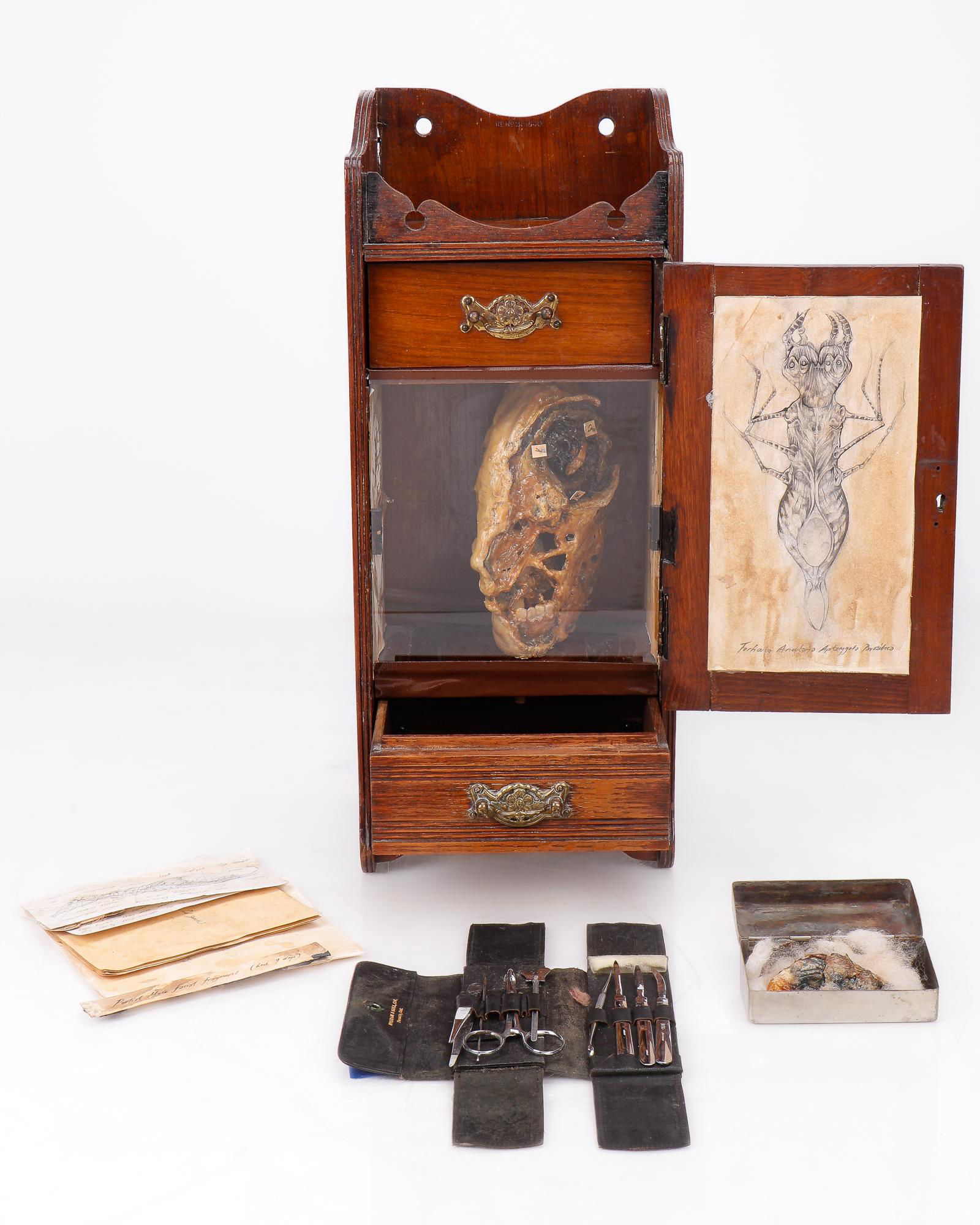 Cabinet of Curiosities (1 of 9)
