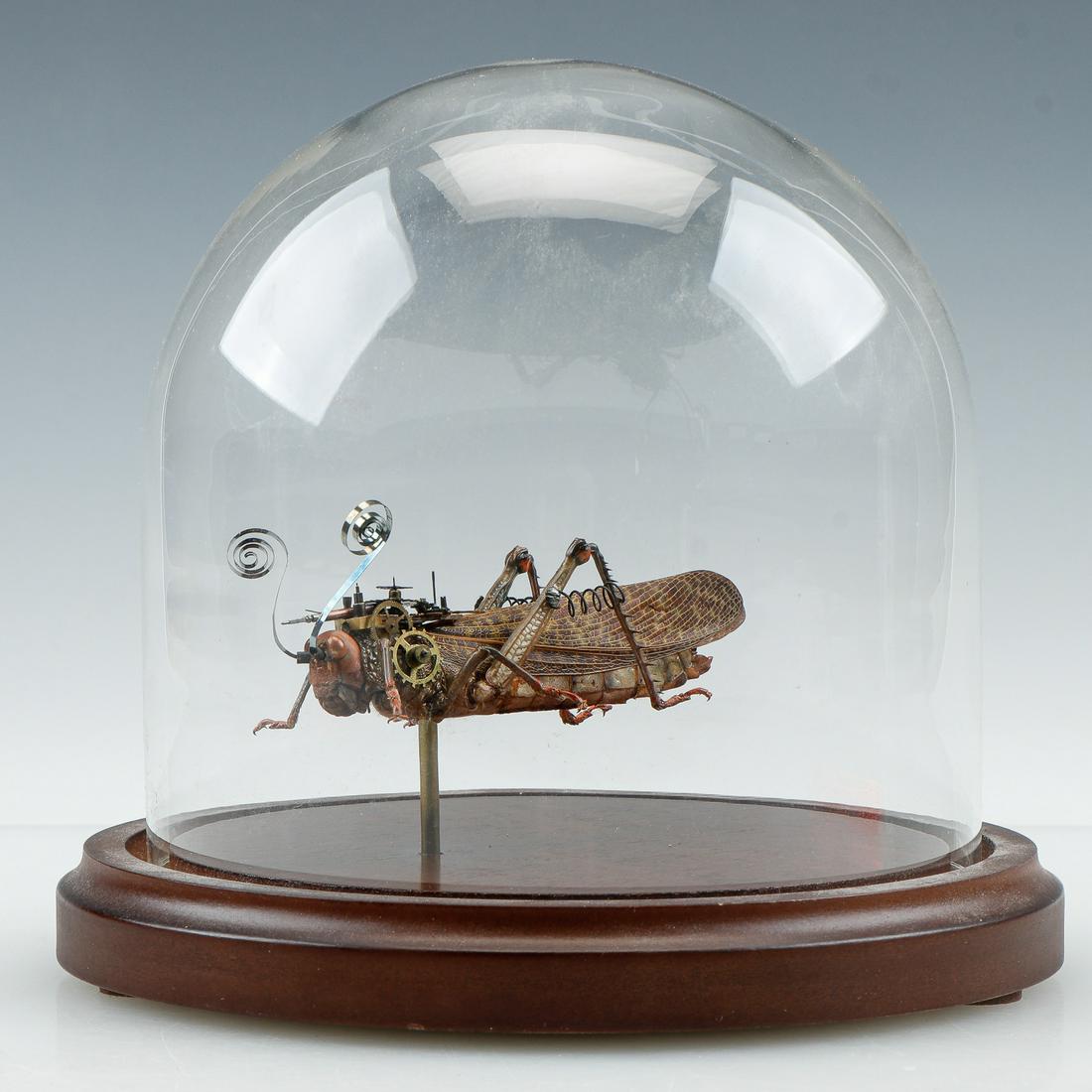 Cyberpunk Grasshopper Specimen: Orthoptera Tropidacris Dux (1 of 4)