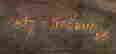 item-128505423=2