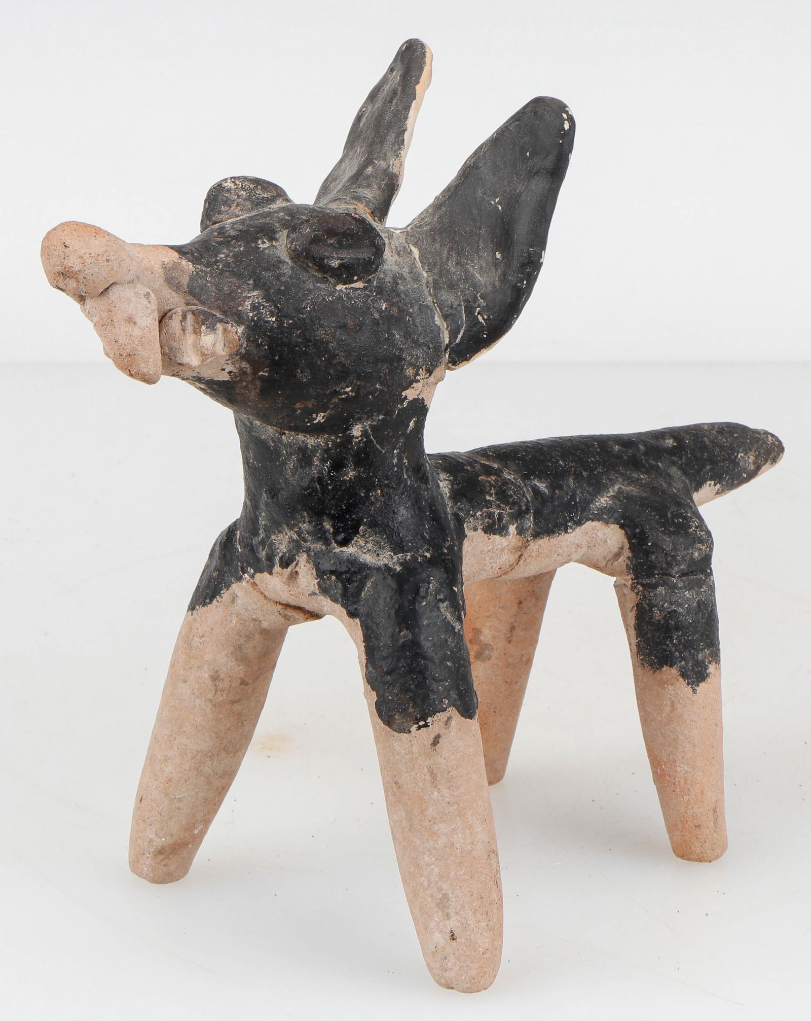 Pre-Columbian Vera Cruz Pottery Dog Effigy (1 of 5)