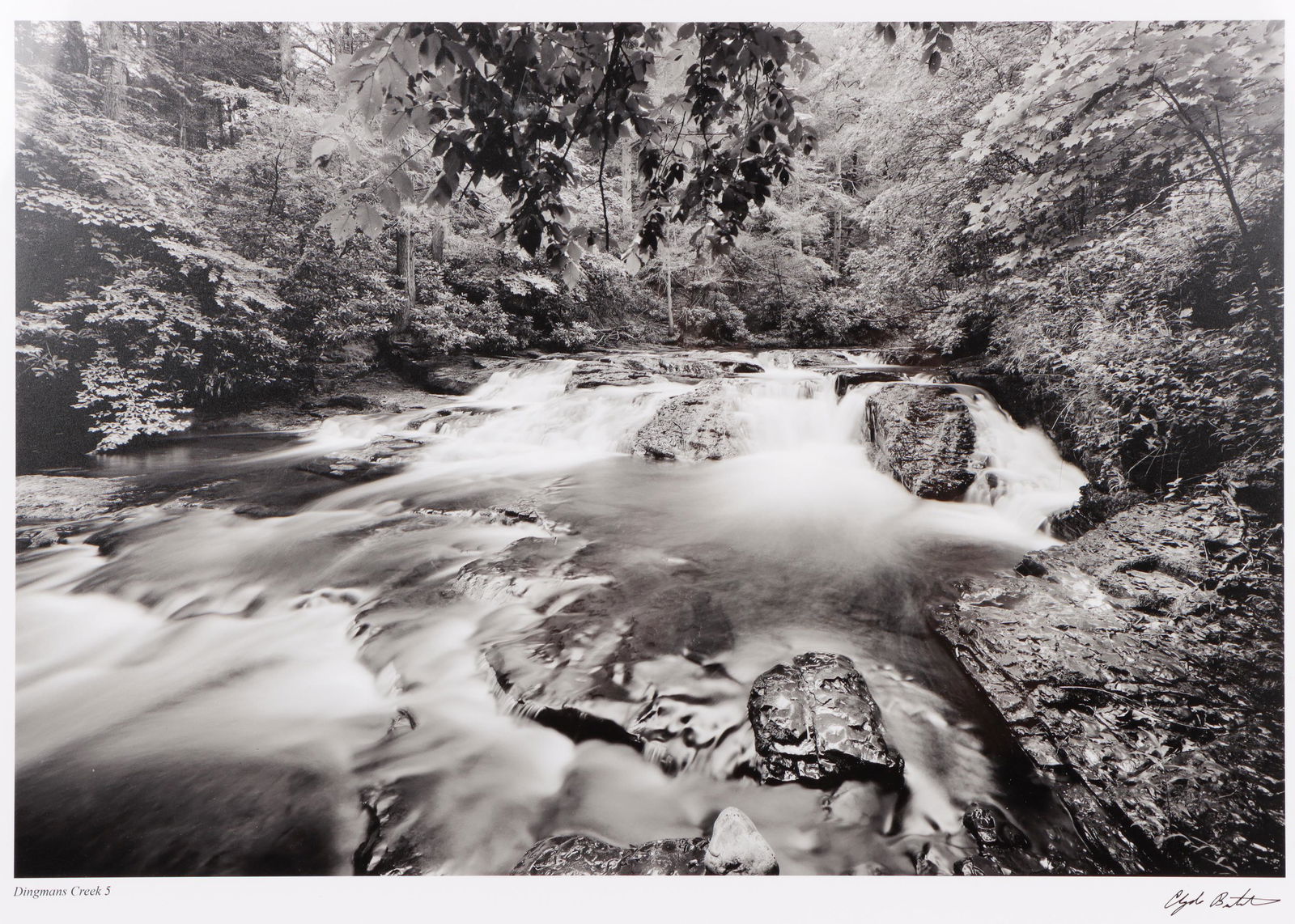 Clyde Butcher (American) Long exposure B&W photo (1 of 4)