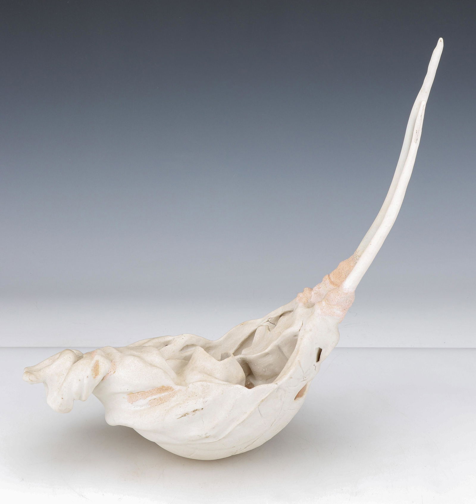 Karen Acker (American) "Horseshoe Crab" (1 of 6)