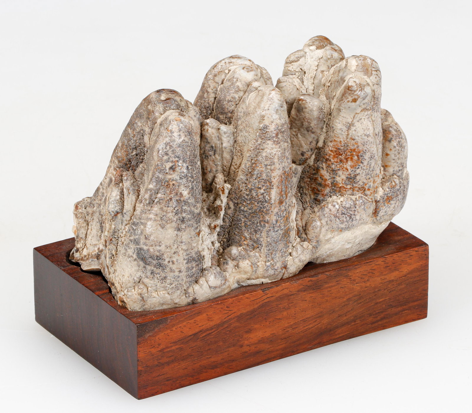 Chinese Fossilized Mastodon Teeth Brush Rest: Chinese Fossilized Mastodon Teeth Brush Rest. Size: 2.75'' x 5'' x 3'' (7 x 13 x 8 cm). Height on stand: 4.25" (11 cm). Provenance: Sylvia and Philip Chaplain Collection, New Hampshire.