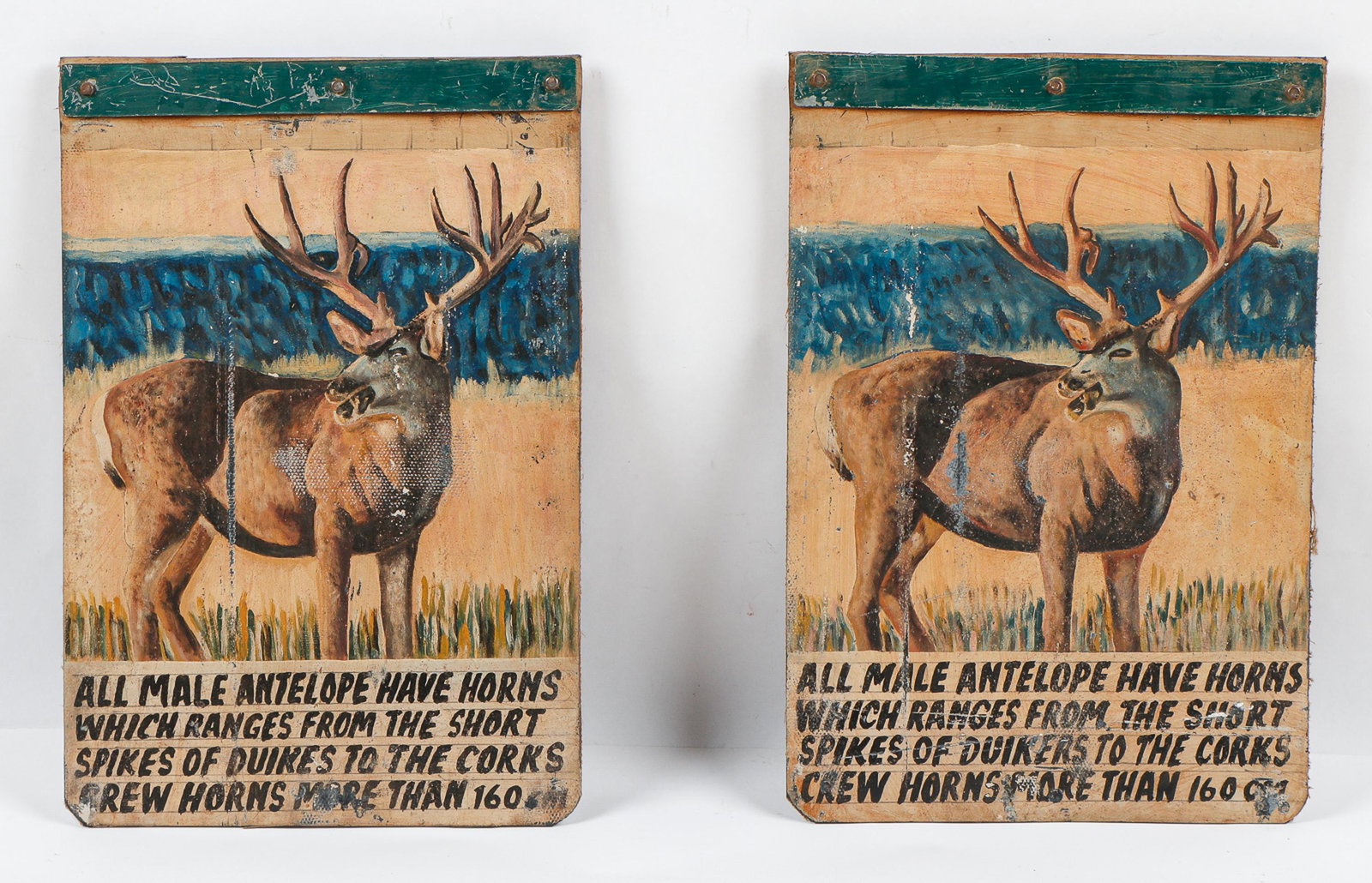 Pair of African (20th c.) Folk Art Painted Truck Mud Flaps (1 of 4)