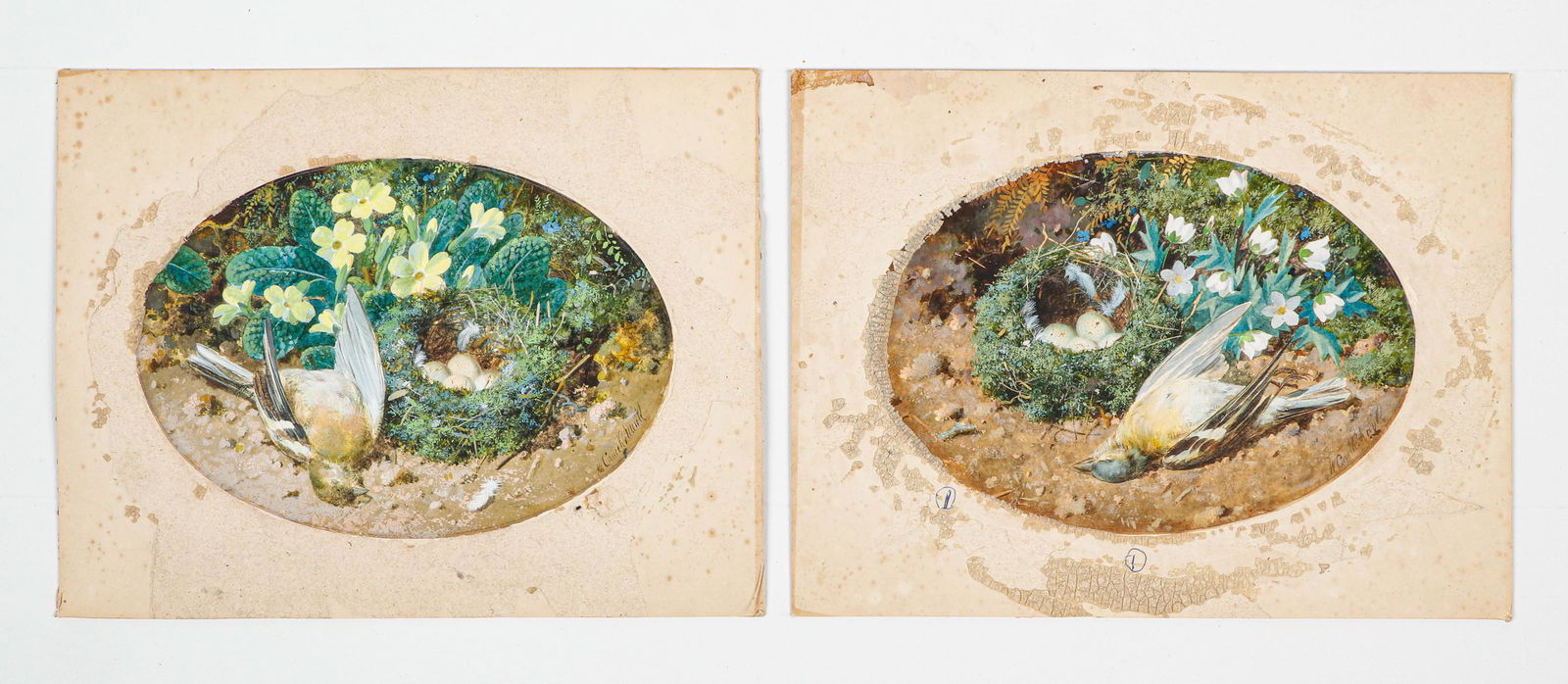 William Cruikshank (British, 1848-1922) 2 Works (1 of 4)