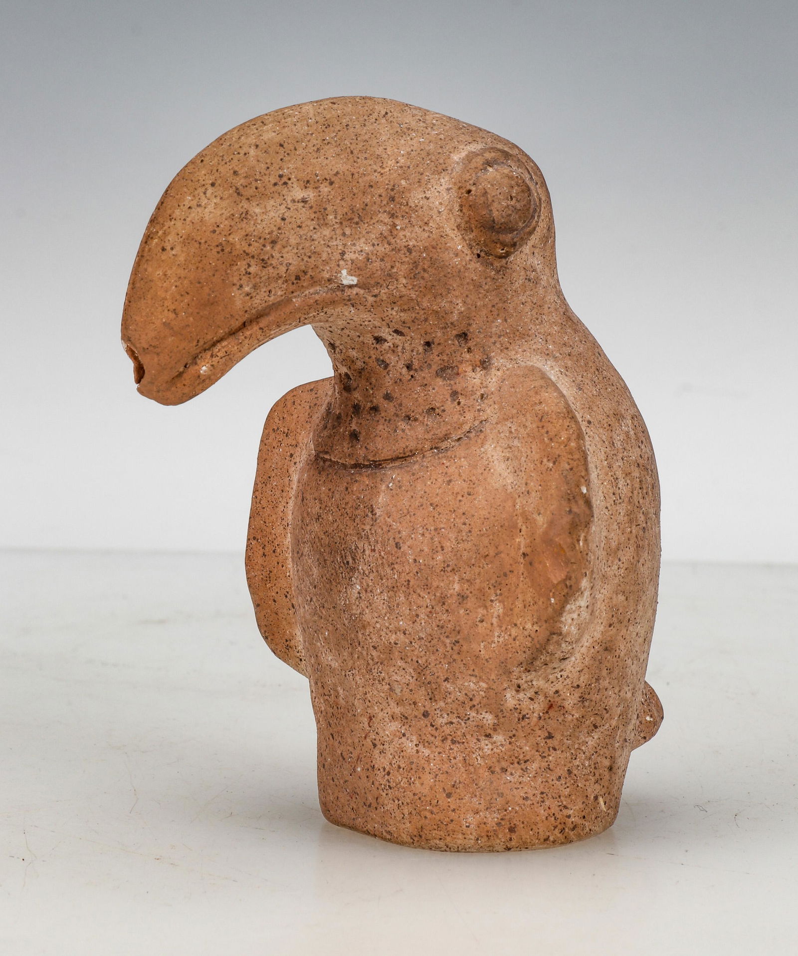 Pre-Columbian Moche Pottery Toucan Bird Shaman's Rattle (1 of 6)
