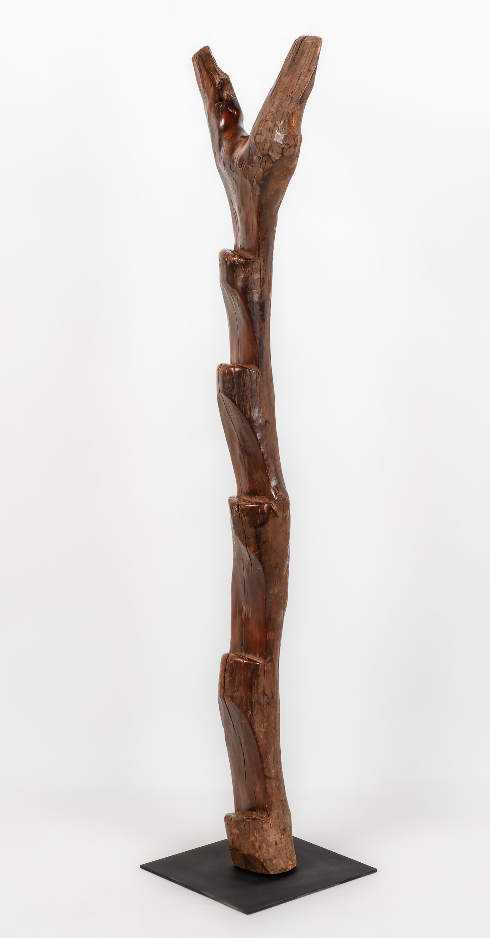 African Gurunsi Ladder, Burkina Faso, Mid 20th C. (1 of 5)