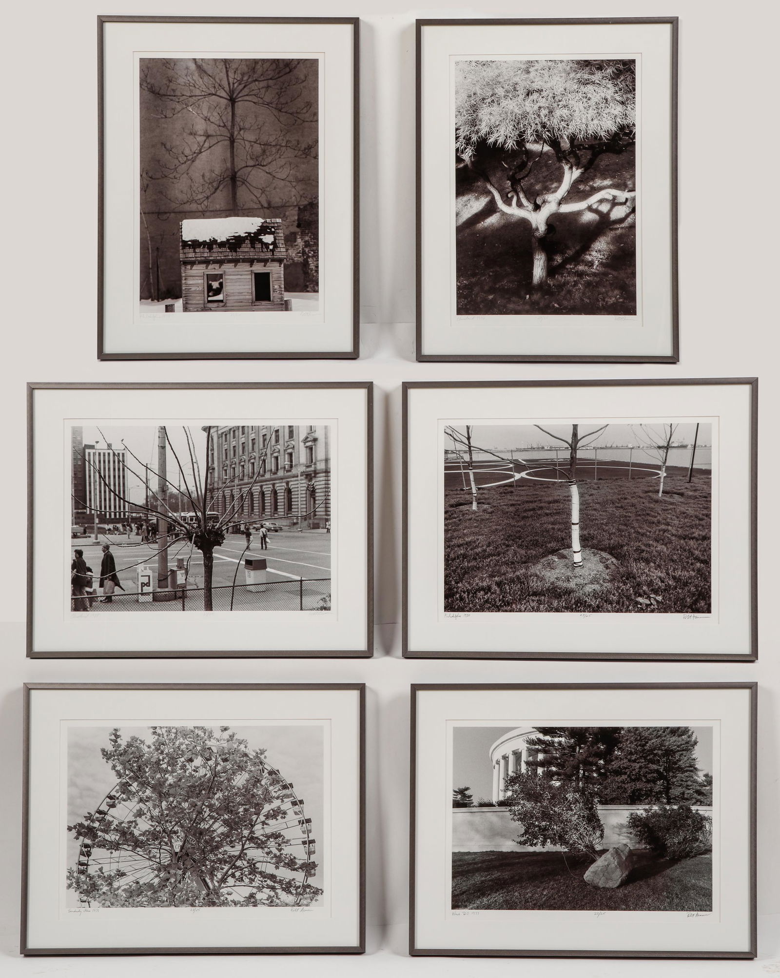 Robert Asman (American, 1951-2020) - Urban Trees - 6 Framed photographs (1 of 6)