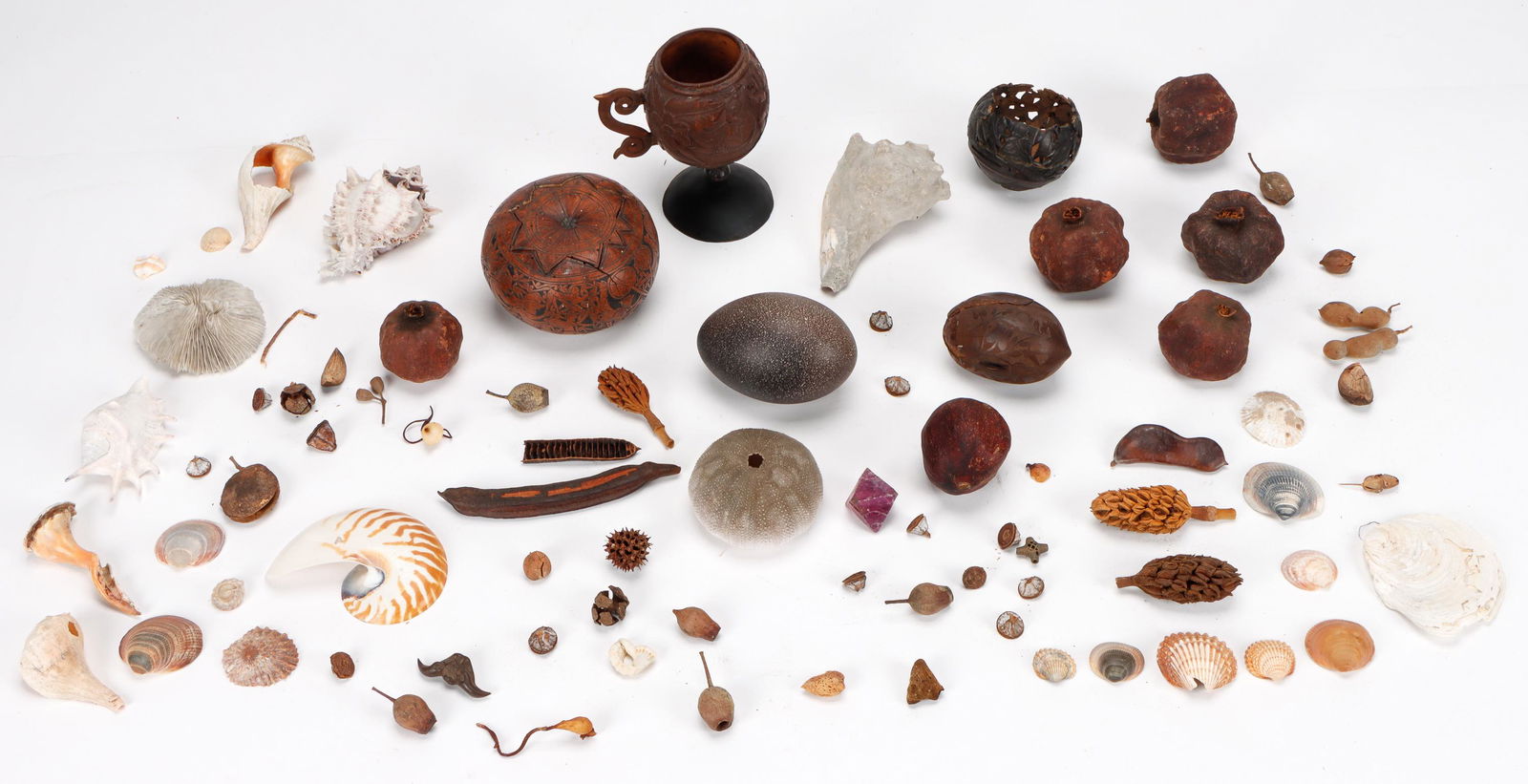 19th C. Finely Carved Coconut "Bugbear" Chalice: 19th C. Finely Carved Coconut "Bugbear" Chalice. Together with other incised coconut shells, a collection of marine shells, dried seed pods and pomegranates.Provenance: Estate of Diana and Larry Fane.