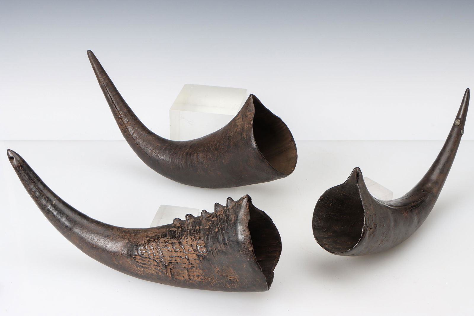 3 African Drinking Horns, Cameroon Grasslands (1 of 3)