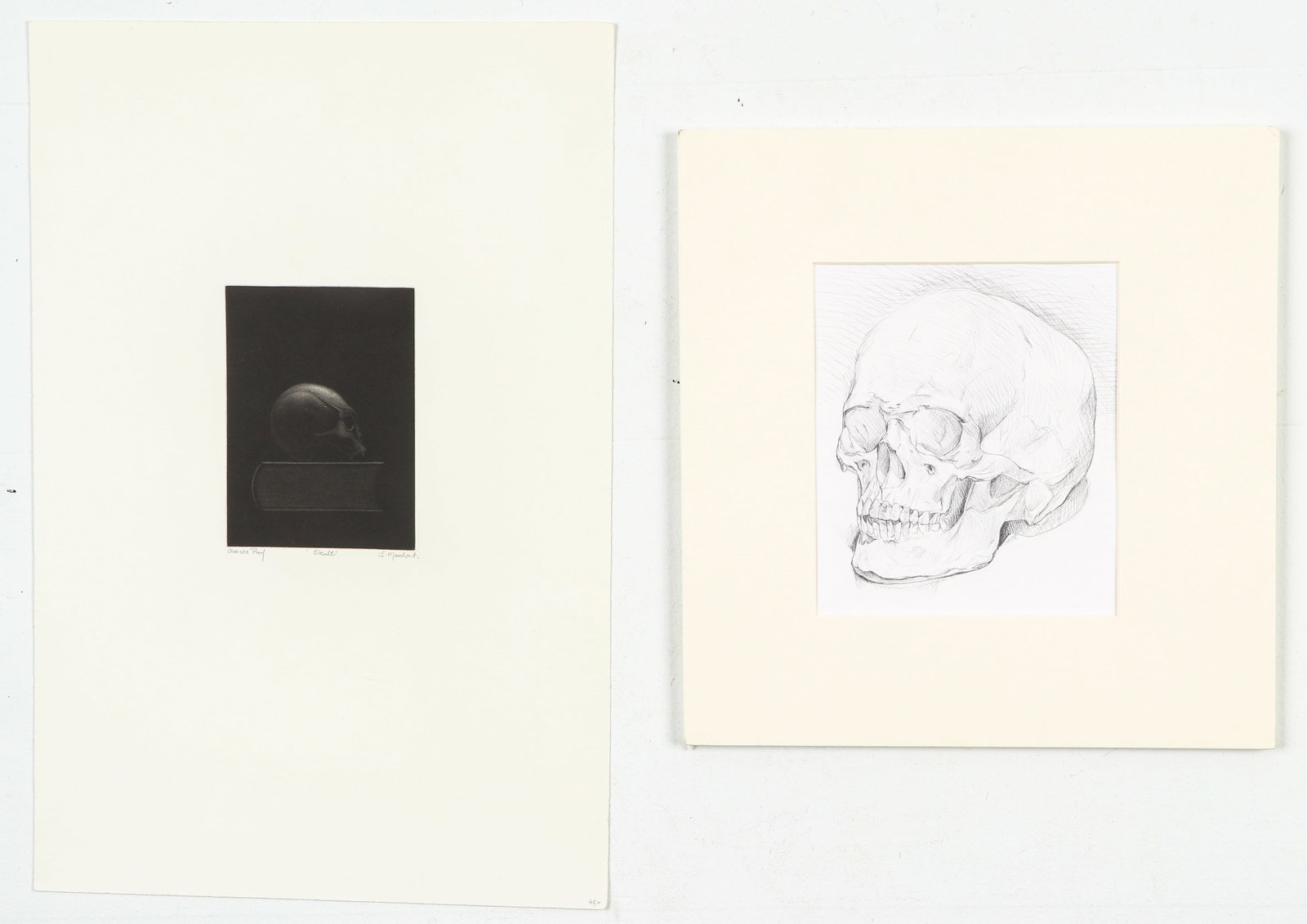 Two Works: Skulls (1 of 6)