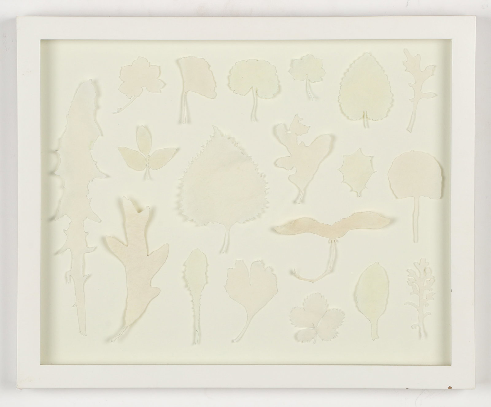 Nami Yamamoto (Japanese/American, b. 1968) "Radiant Flux," 2008: Nami Yamamoto (Japanese/American, b. 1981) "Radiant Flux," 2008, cut paper. Size: 10.5'' x 13.25'', 27 x 34 cm (sight); 12'' x 14.75'', 30 x 37 cm (frame). Provenance: The Robert L. Pfannebecker Colle