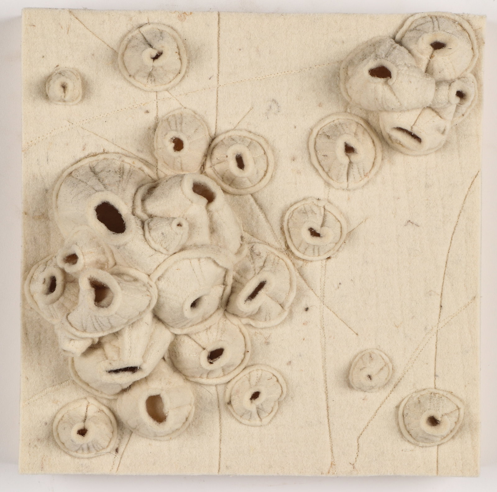 Tristin Lowe (American, b. 1966) "Mola: Barnacles and Whale Skin," 2009: Tristin Lowe (American, b. 1966) "Mola: Barnacles and Whale Skin," 2009, felt on panel. Fleisher Ollman Gallery, Philadelphia, PA. Size: 10'' x 10'' (25 x 25 cm). Probably related to Lowe’s colossal