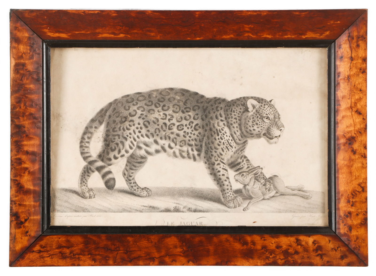Jean-Baptiste Marie Huet (1745-1811) "Le Jaguar" (1 of 2)
