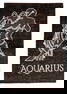 Horoscope Sign Rug: Aquarius, India, Late 20th C., 4'2'' x 6'2''