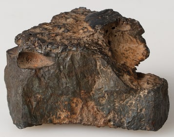 Palm-Sized Meteorite