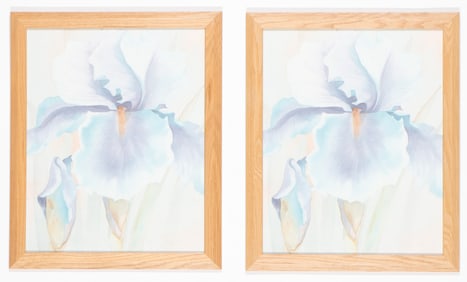 2 Paintings of a Flower
