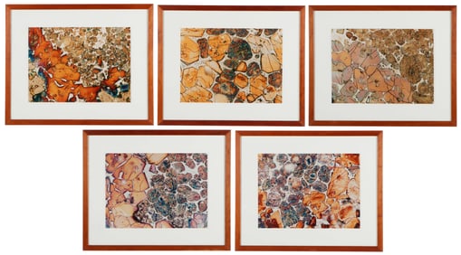 5 Photographs of Microscopic Minerals