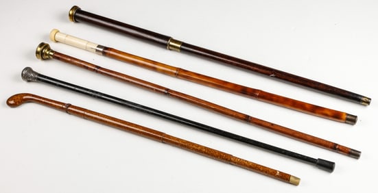 5 Exceptional Walking Canes