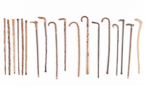 Collector's Lot of 18 Walking Sticks