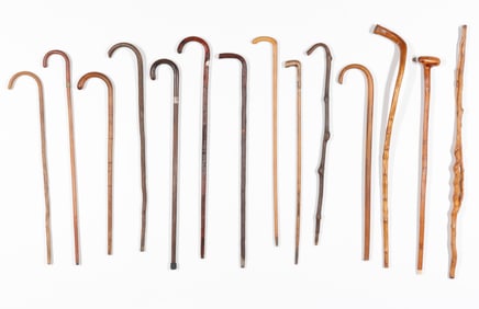Collector's Lot of 14 Canes