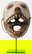 item-205481151=1