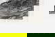 item-207950274=3