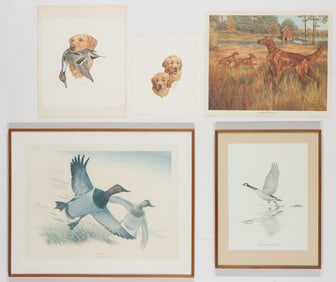 Collector's Lot of 7 Prints