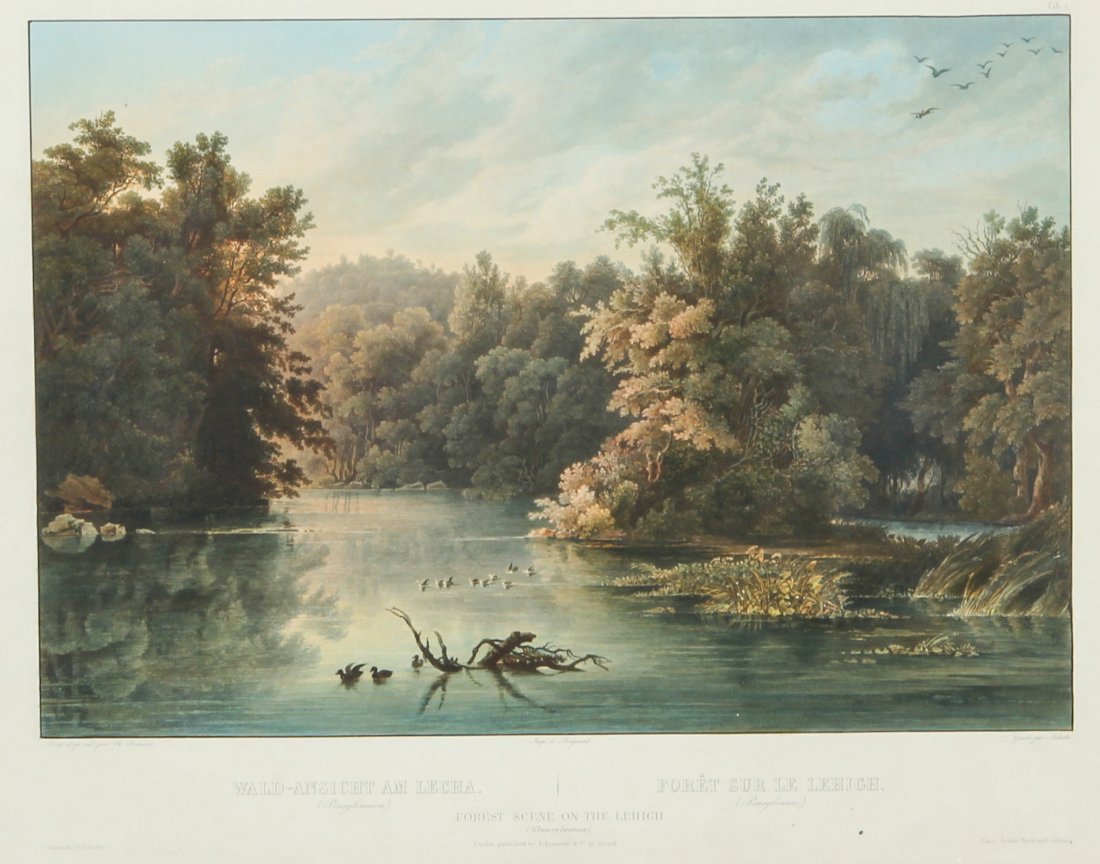 Karl Bodmer, Forest Scene on the Lehigh: Karl Bodmer (Swiss, 1809-1893), Forest Scene on the Lehigh (Pennsylvania), Medium: Handcolored aquatint/engraving. Size: 25" x 28.5" (63 x 72 cm). Provenance: GlaxoSmithKline LLC.