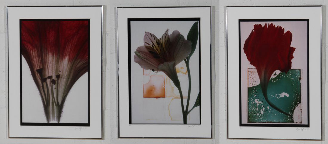 Lynn Hoffman, 3 C-Prints: Lynn Hoffman (American, 20th c.). Three Works. 1) The Way To The Tulip, 1981. Medium: Color photograph. 2) Medium: Color photograph. 3) Brooklyn (?), 1981. Medium: Color photograph cibachrome. Size: 2