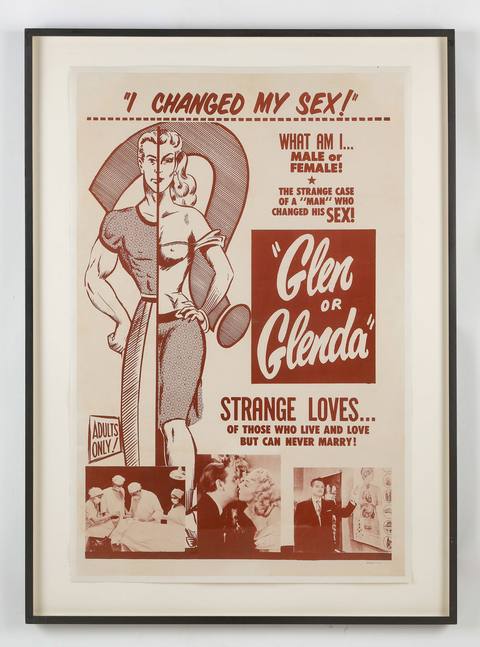 Rare Original "Glen or Glenda" Theatrical Film One Sheet Poster, 1953 (1 of 2)