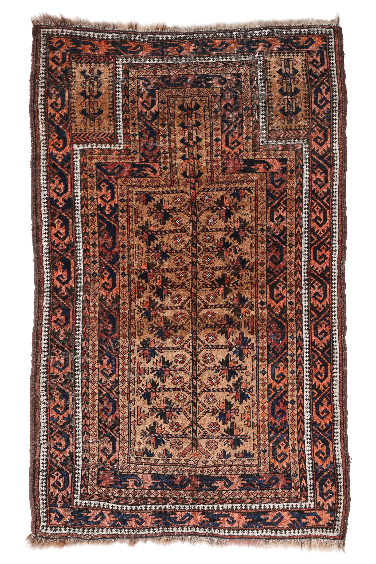 Camel Field Baluch Prayer Rug, NE Persia, Ca. 1900, 3'6'' x 5'7'': Camel Field Baluch Prayer Rug, NE Persia, Ca. 1900, 3'6'' x 5'7'' (107 x 170 cm). Weight: 7 lbs. Material: wool pile, wool warp, wool weft.