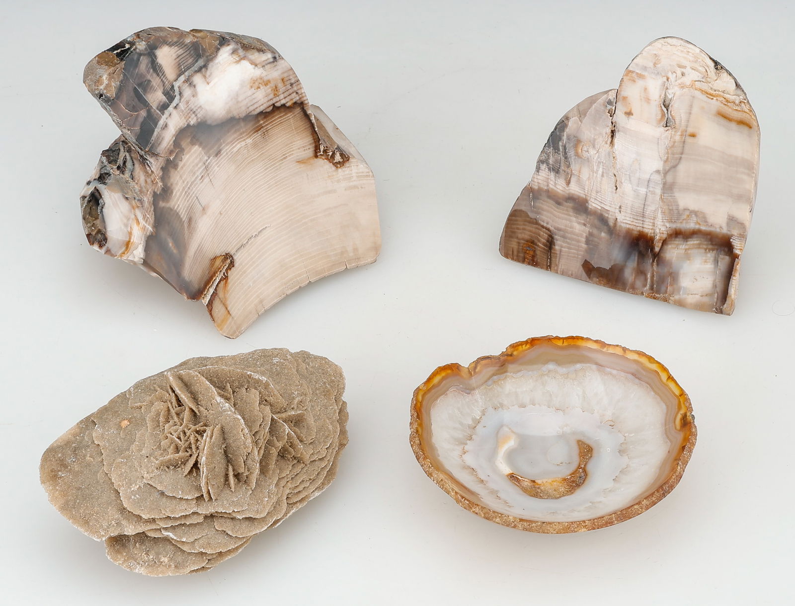 Collector's Lot of 4 Crystal Specimens: Collector's Lot of 4 Crystal Specimens. Includes two large pieces of petrified wood, one "desert rose" (gypsum and selenite crystal formation), and one bowl made of a carved agate geode. Sizes From: 1