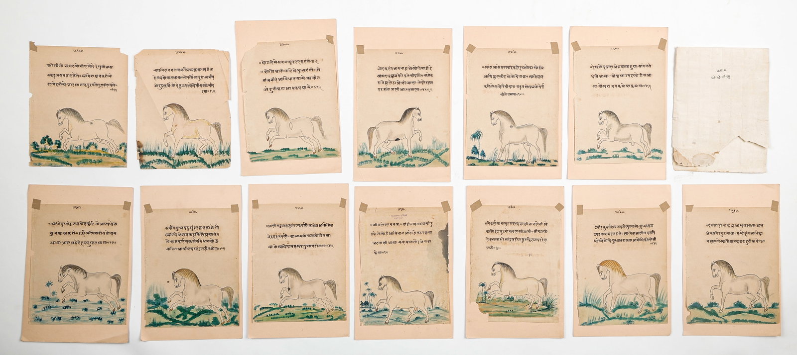 13 Illustrated Leaves From a Manuscript On Horses, Rajasthan or Western India, Late 19th C/Early (1 of 4)